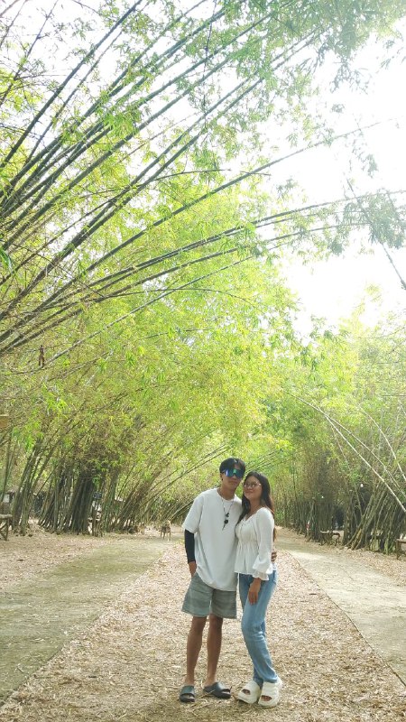 Bamboo 10